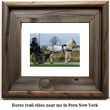 horse trail rides near me in Peru, New York